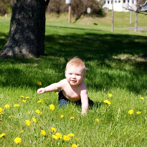 Team Page: Team Bear